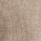 antelope